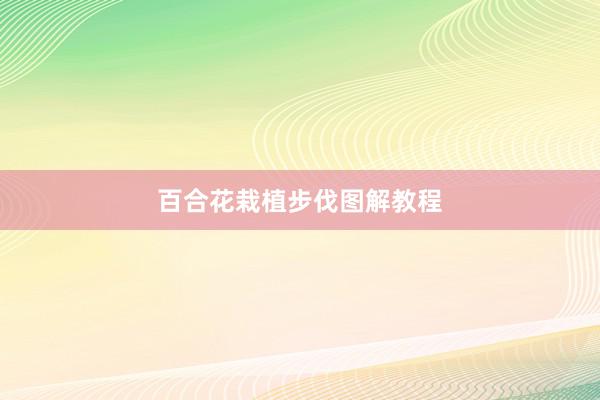 百合花栽植步伐图解教程